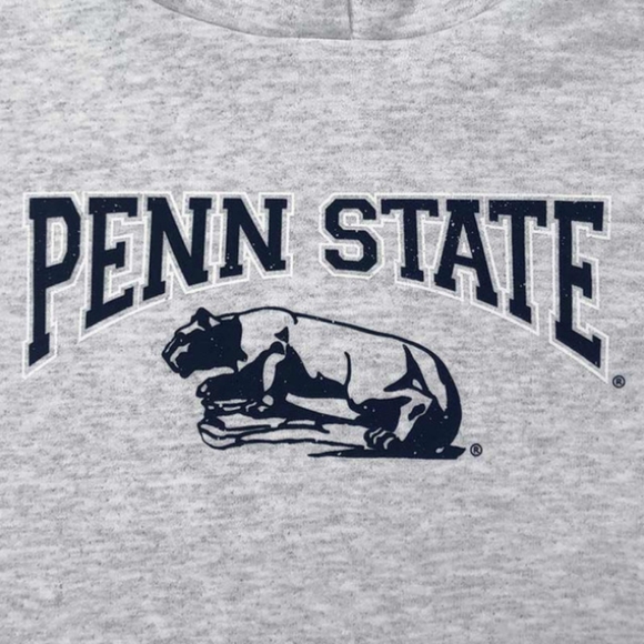 Penn State Collegiate Crop Logo Hoodie- NWOT - Picture 2 of 11